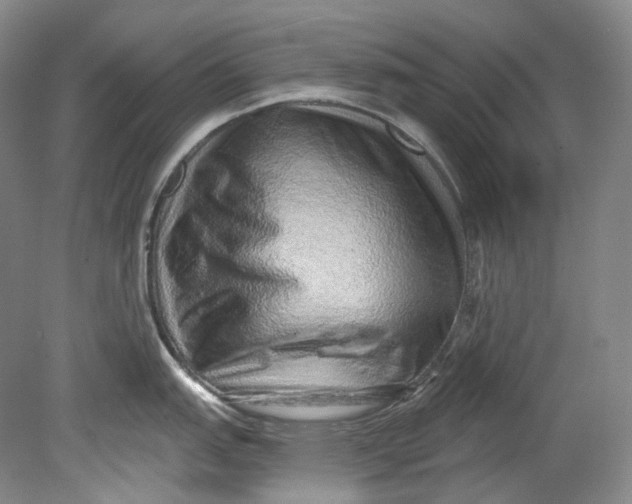 X0000080741151200701021140