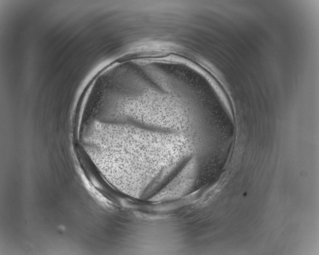 X0000080741152200701021140