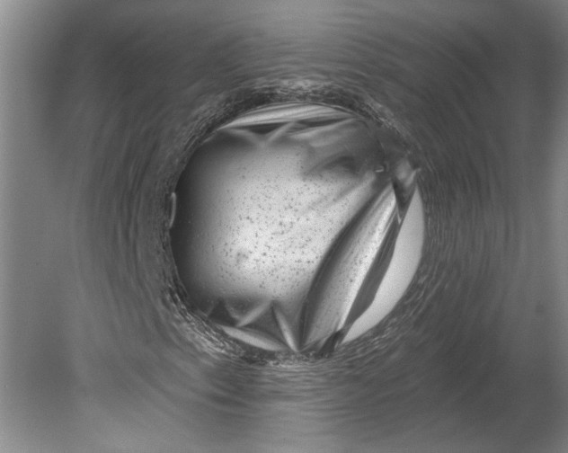 X0000080741153200701021139