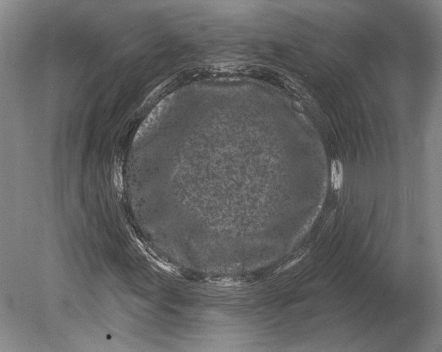 X0000080741155200701021139