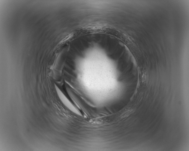 X0000080741156200701021139