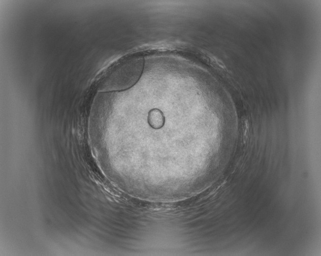 X0000080741158200701021139