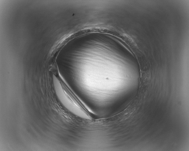 X0000080741159200701021139