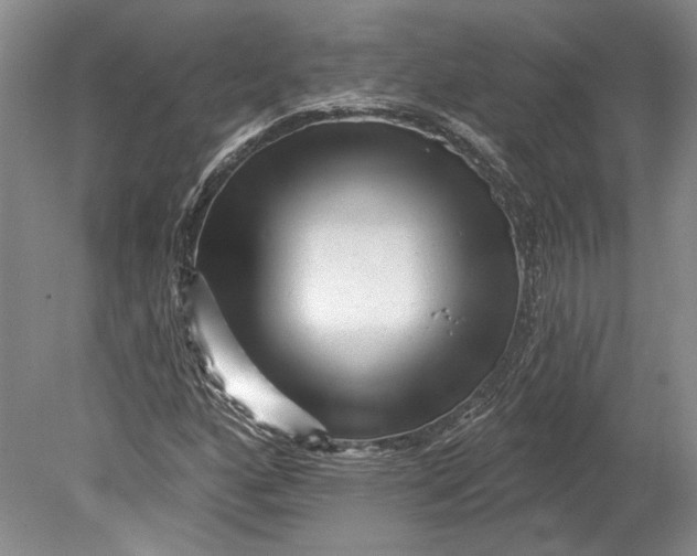 X0000080741160200701021139