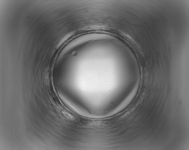 X0000080741162200701021139