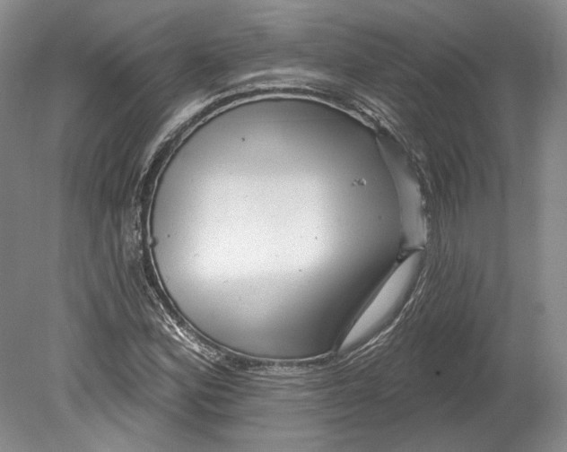 X0000080741164200701021139