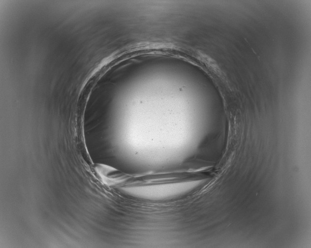 X0000080741165200701021139