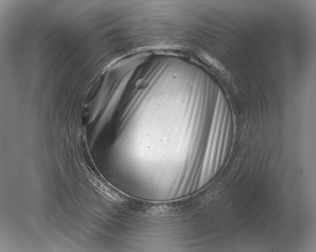 X0000080741169200701021139