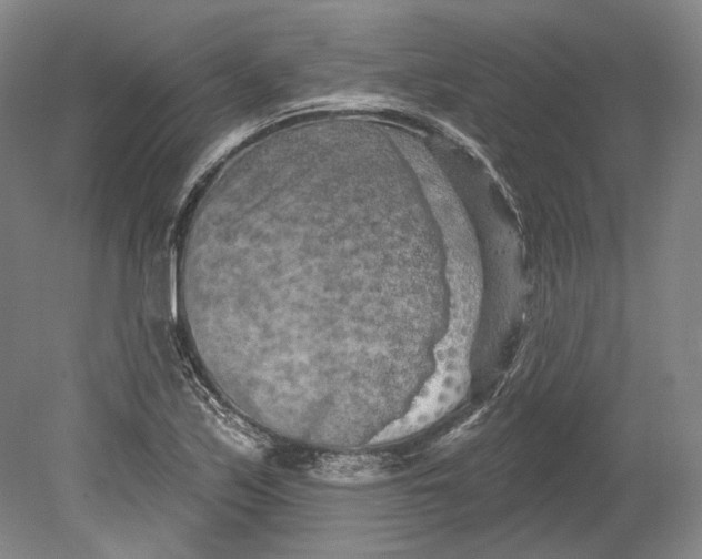 X0000080741171200701021139