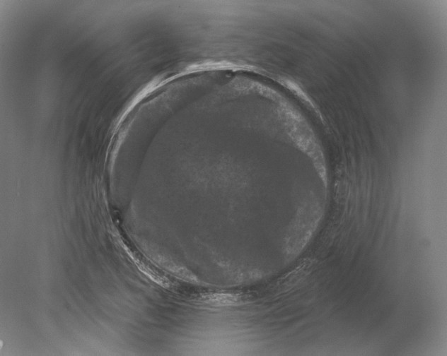 X0000080741173200701021139