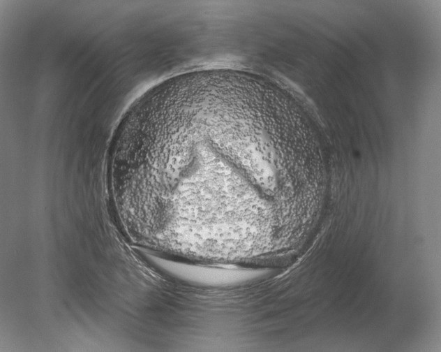 X0000080741174200701021139