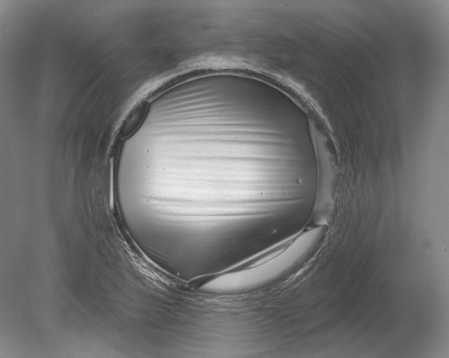 X0000080741175200701021139