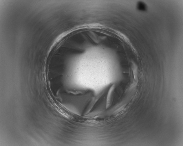 X0000080741176200701021139