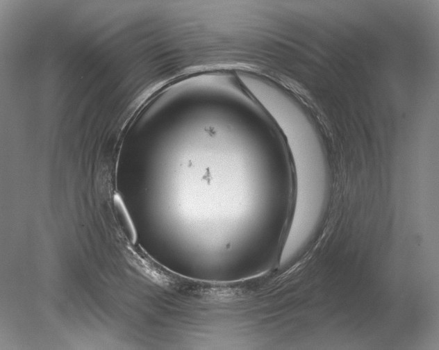 X0000080741177200701021139