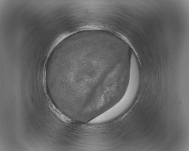 X0000080741179200701021139