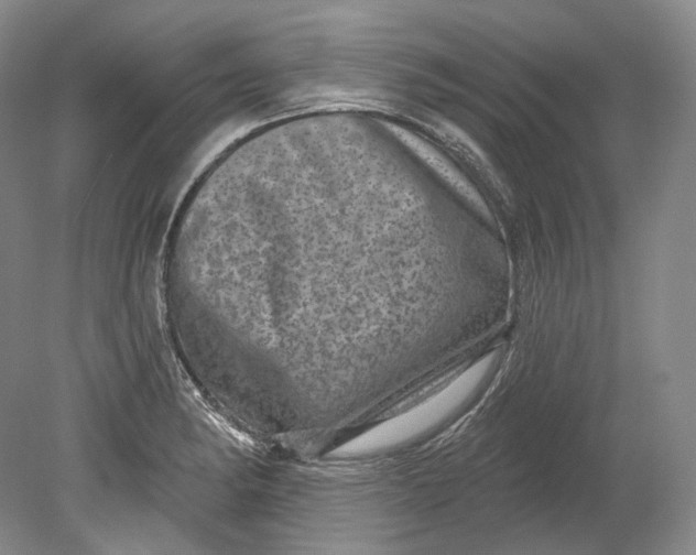 X0000080741182200701021139