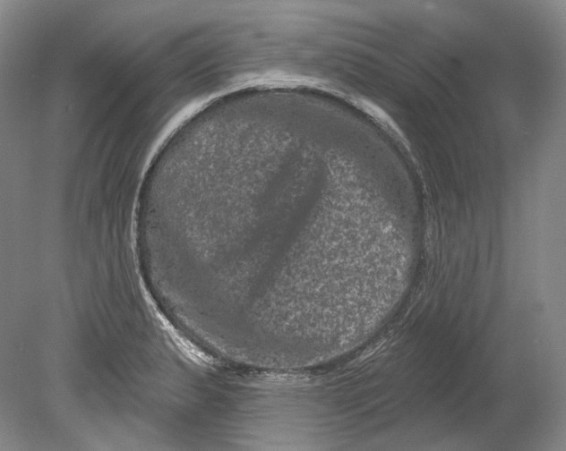 X0000080741183200701021139