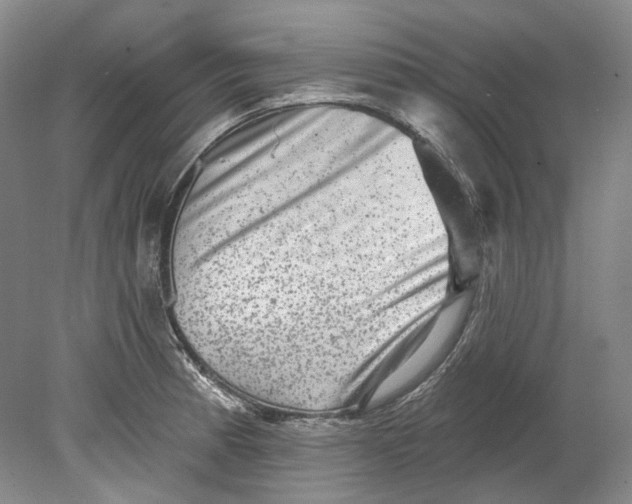 X0000080741185200701021139