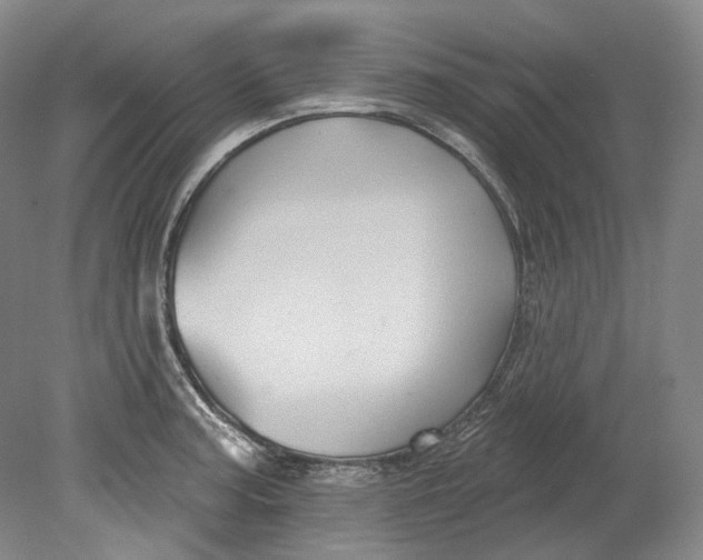 X0000080741187200701021139