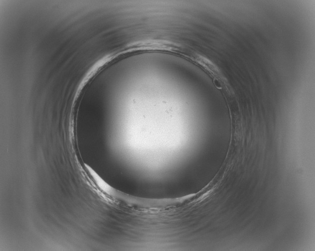 X0000080741188200701021139