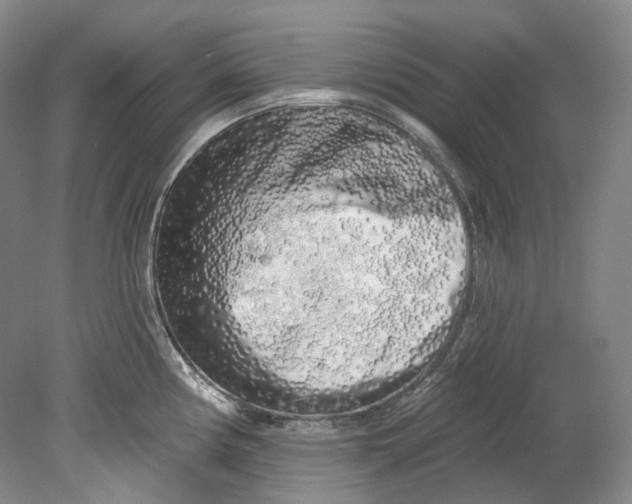 X0000080741194200701021139