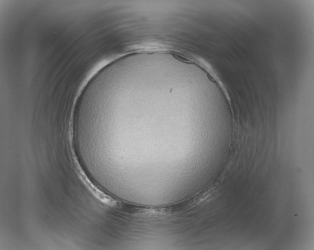 X0000080741195200701021139