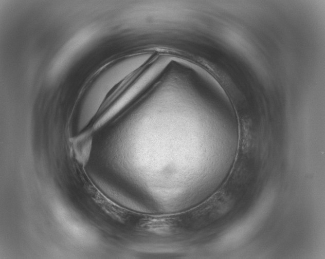 X0000080741198200701021138