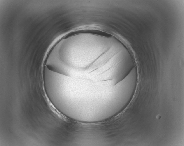 X0000080741200200701021138