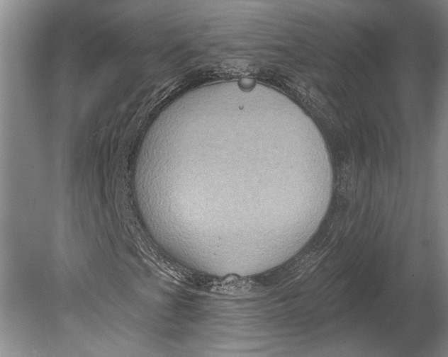 X0000080741201200701021138