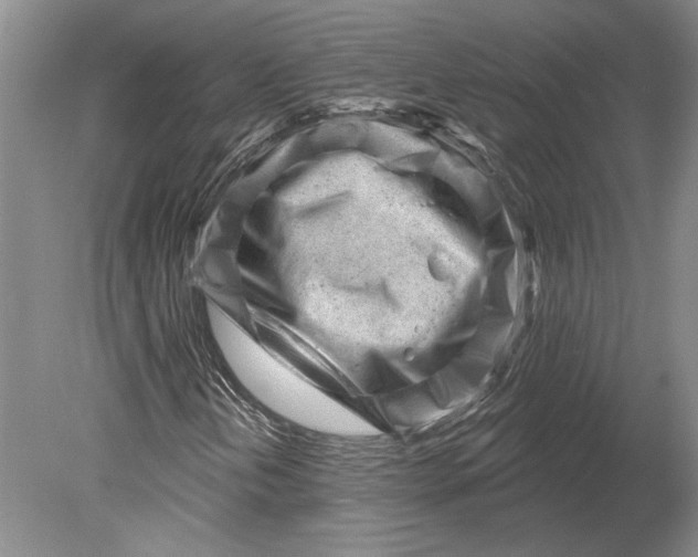 X0000080741202200701021138