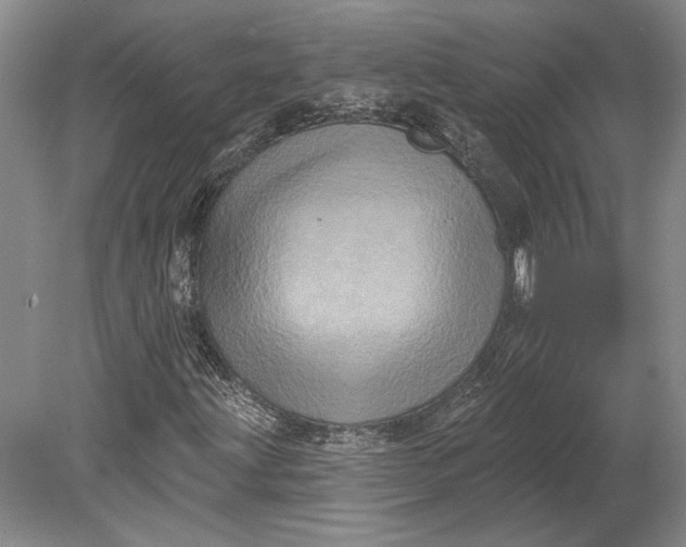 X0000080741203200701021138