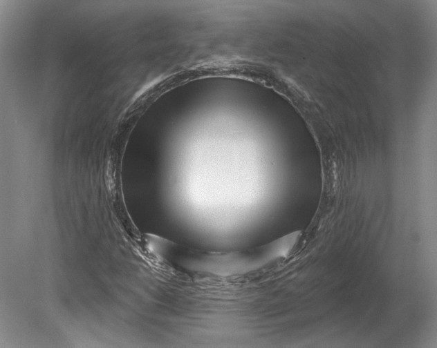 X0000080741206200701021138