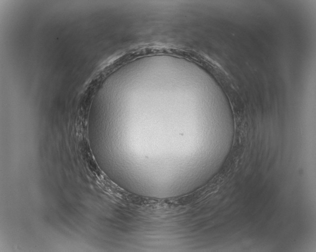 X0000080741207200701021138