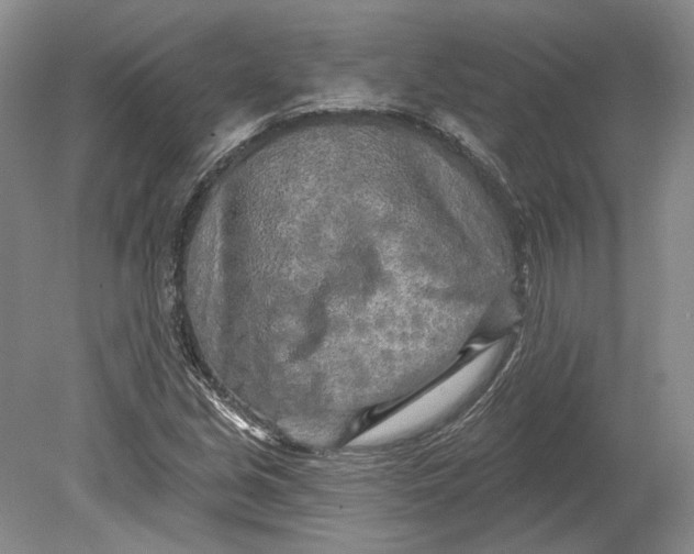 X0000080741213200701021138