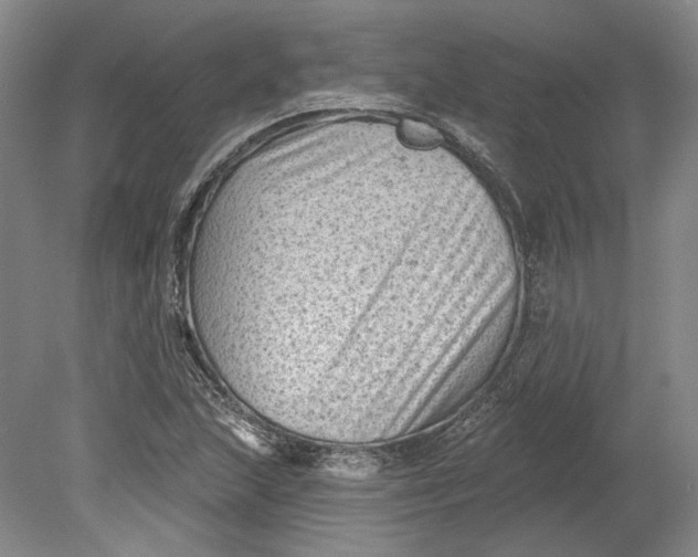 X0000080741215200701021138