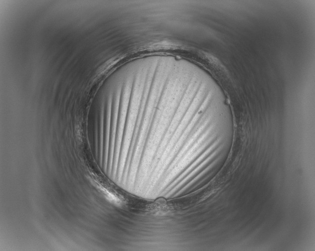 X0000080741217200701021138