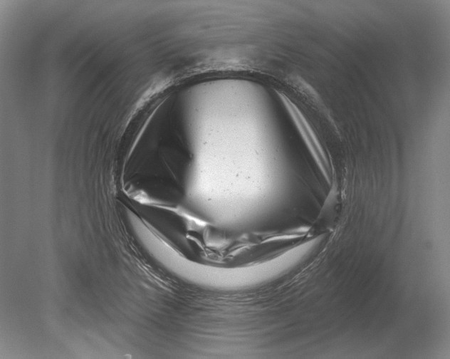 X0000080741218200701021138