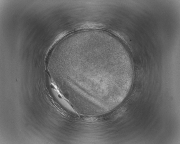 X0000080741219200701021138