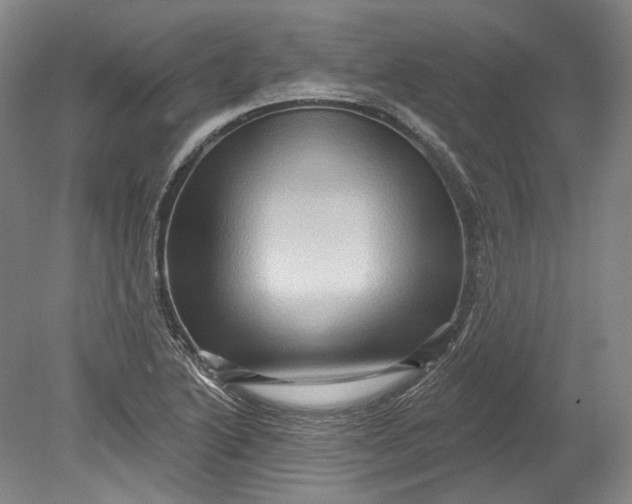 X0000080741222200701021138