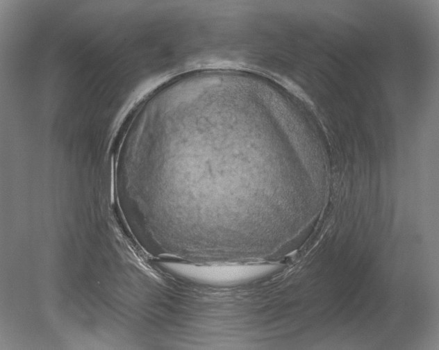 X0000080741223200701021138