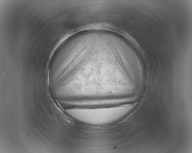 X0000080741224200701021138