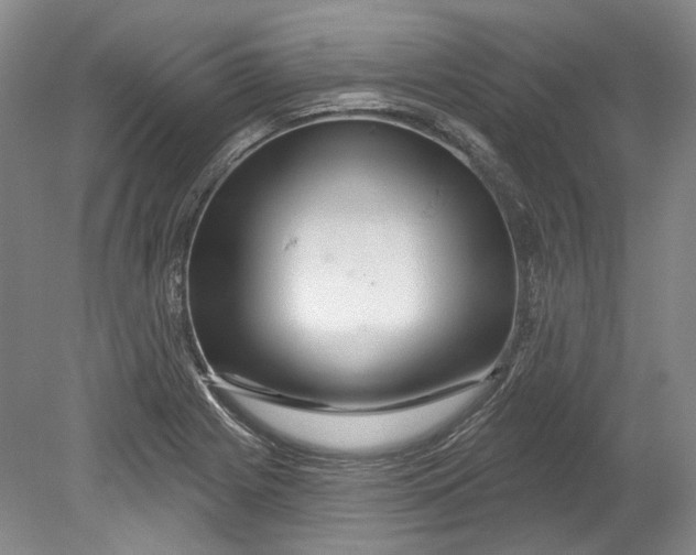 X0000080741225200701021138