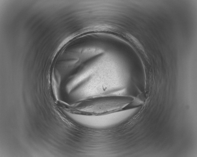 X0000080741226200701021138