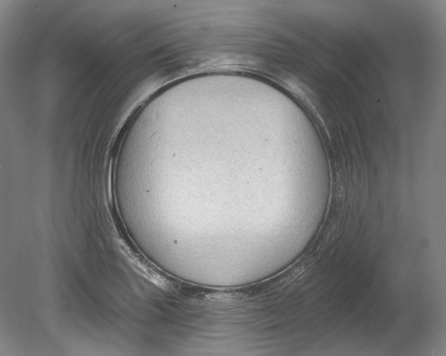 X0000080741227200701021138