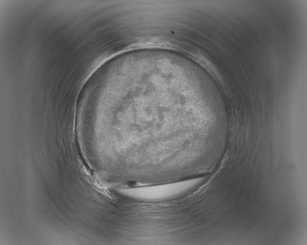 X0000080741228200701021138