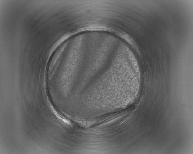 X0000080741229200701021138