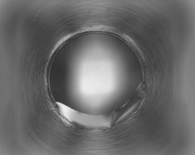 X0000080741230200701021138