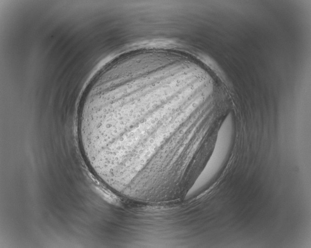 X0000080741232200701021138