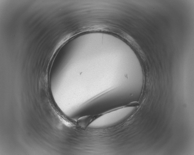 X0000080741234200701021138