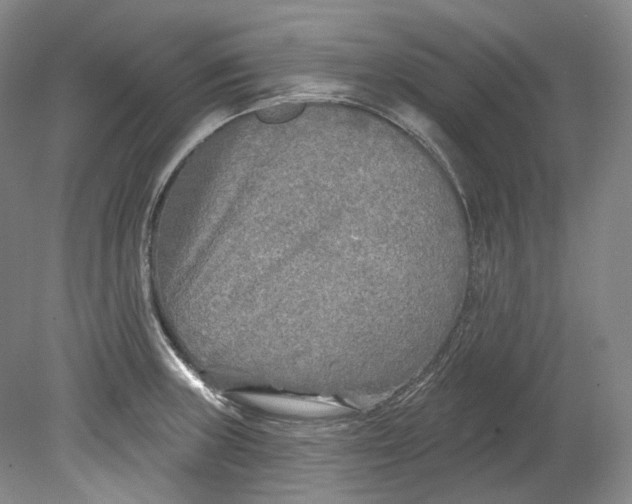 X0000080741235200701021138